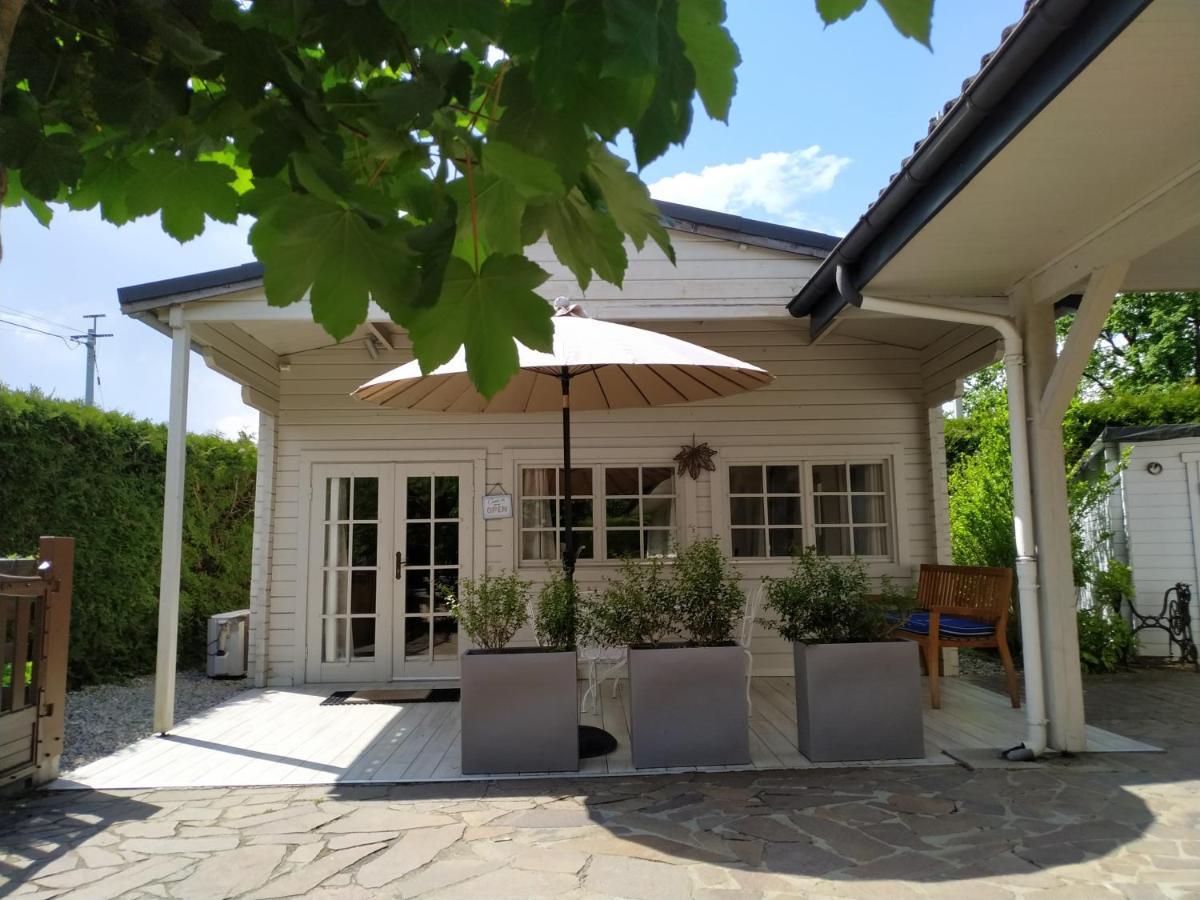 Mon Chalet A Seynod Villa Buitenkant foto